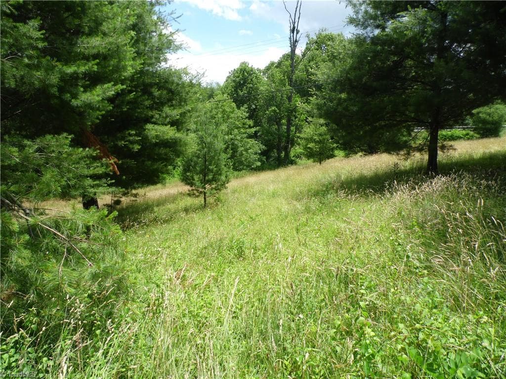 Unimproved Land at TBD NC Highway 18 N, Sparta NC 28675, photo 7 of 19