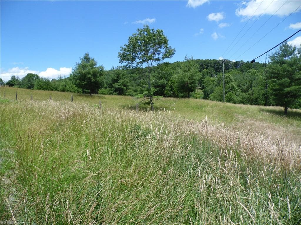 Unimproved Land at TBD NC Highway 18 N, Sparta NC 28675, photo 3 of 19