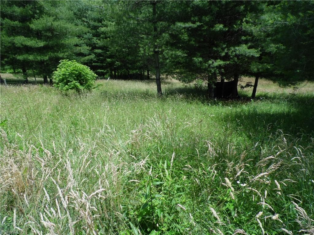 Unimproved Land at TBD NC Highway 18 N, Sparta NC 28675, photo 5 of 19