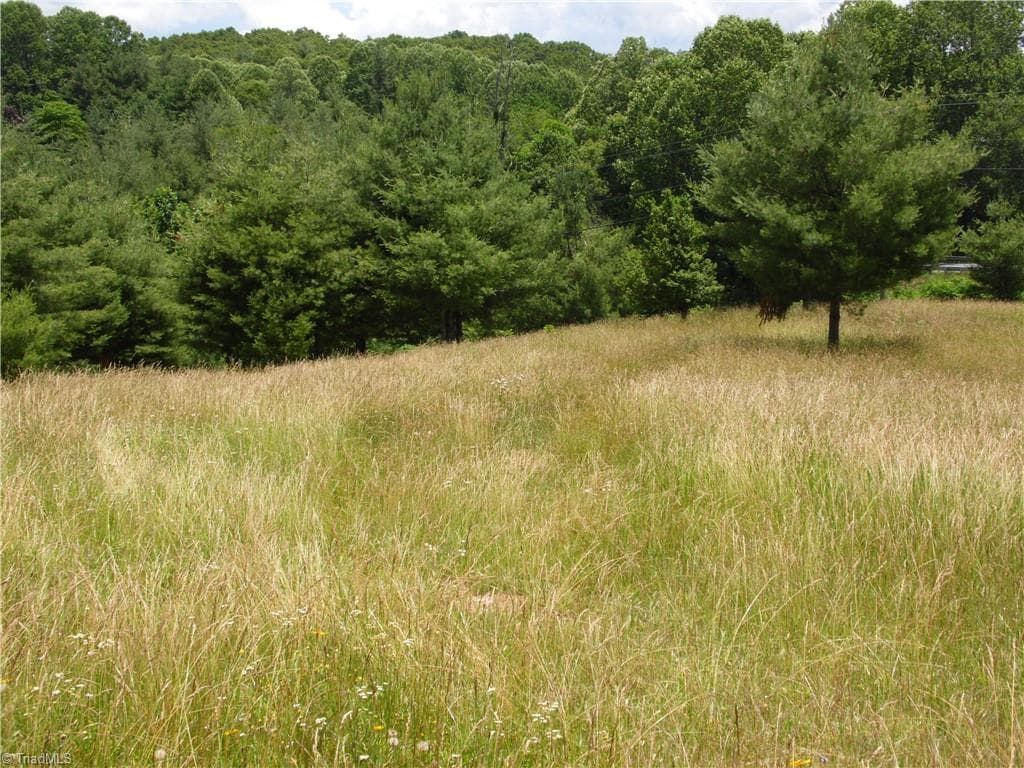 Unimproved Land at TBD NC Highway 18 N, Sparta NC 28675, photo 9 of 19