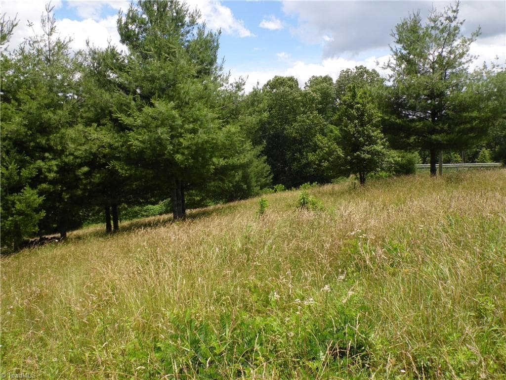 Unimproved Land at TBD NC Highway 18 N, Sparta NC 28675, photo 11 of 19
