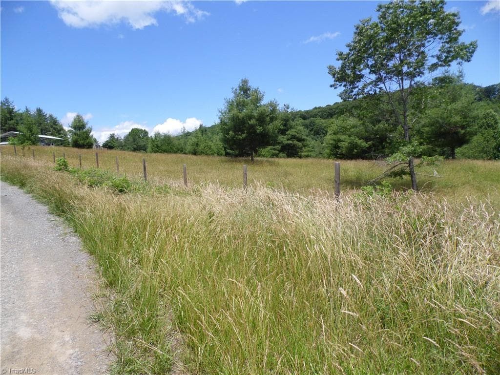 Unimproved Land at TBD NC Highway 18 N, Sparta NC 28675, photo 4 of 19