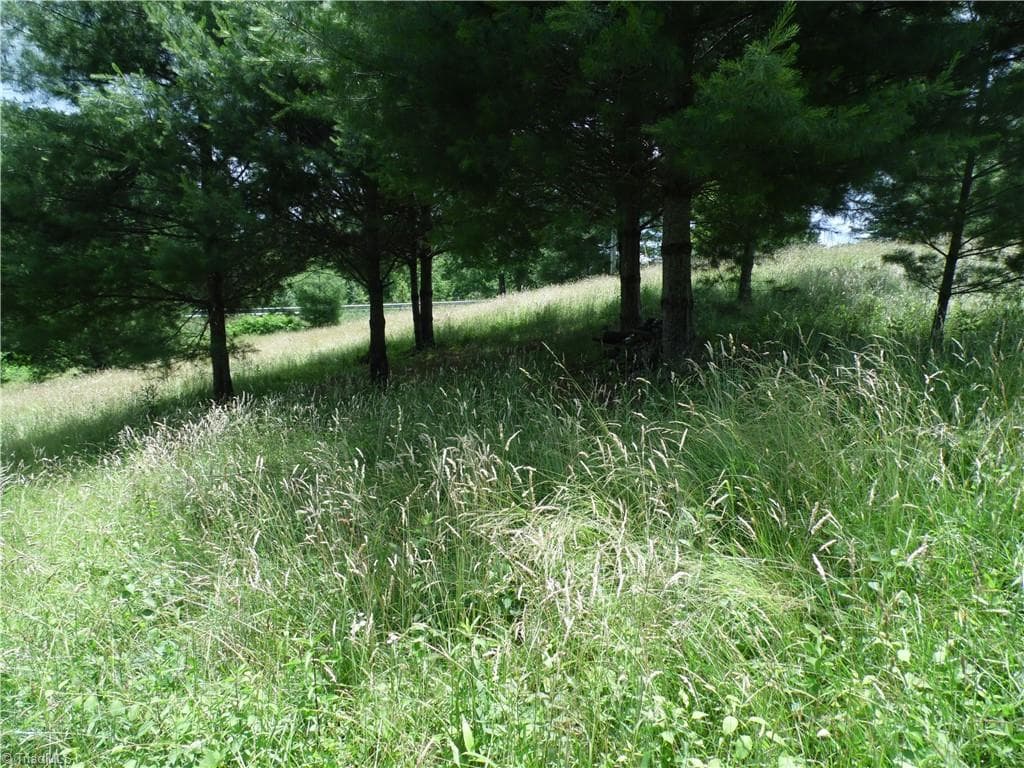 Unimproved Land at TBD NC Highway 18 N, Sparta NC 28675, photo 8 of 19