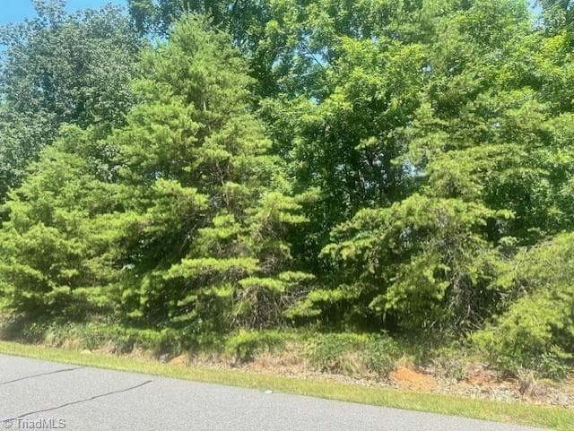 Single Family Residence at 1953 Sierra Trace Road, Denton NC 27239, Denton, photo 7 of 8