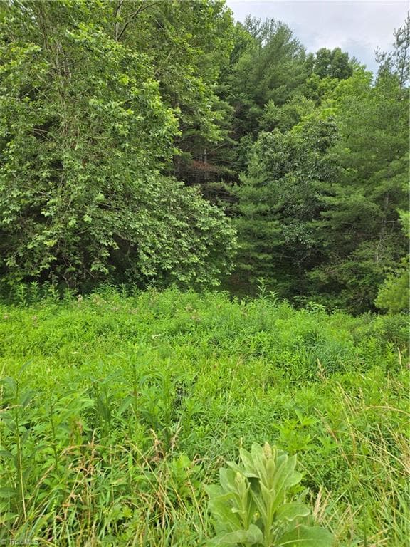 Single Family Residence at TBD Lala Way, Piney Creek NC 28663, photo 7 of 17