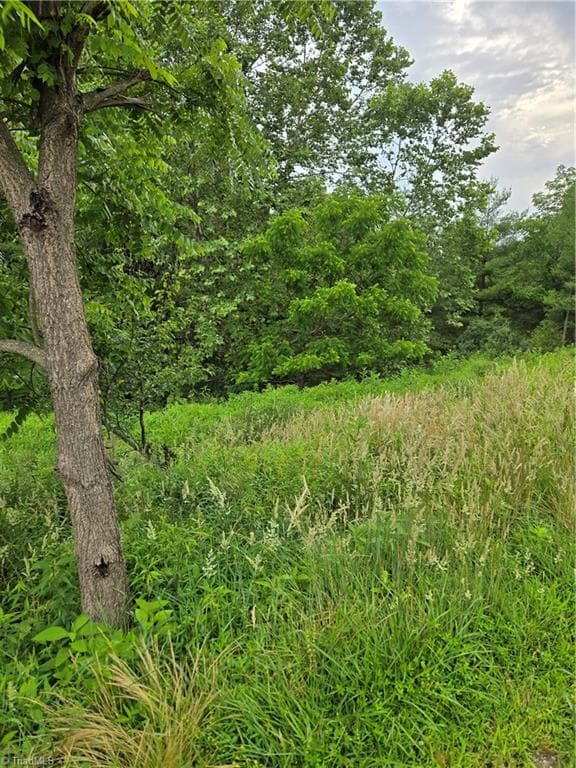 Single Family Residence at TBD Lala Way, Piney Creek NC 28663, photo 3 of 17