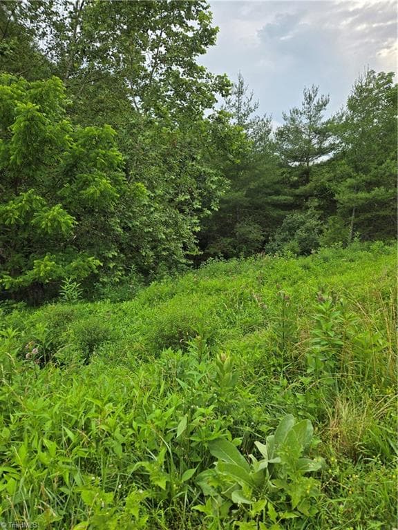 Single Family Residence at TBD Lala Way, Piney Creek NC 28663, photo 5 of 17