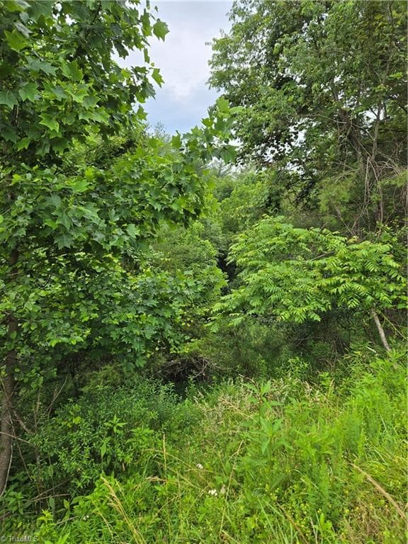 Single Family Residence at TBD Lala Way, Piney Creek NC 28663, photo 11 of 17