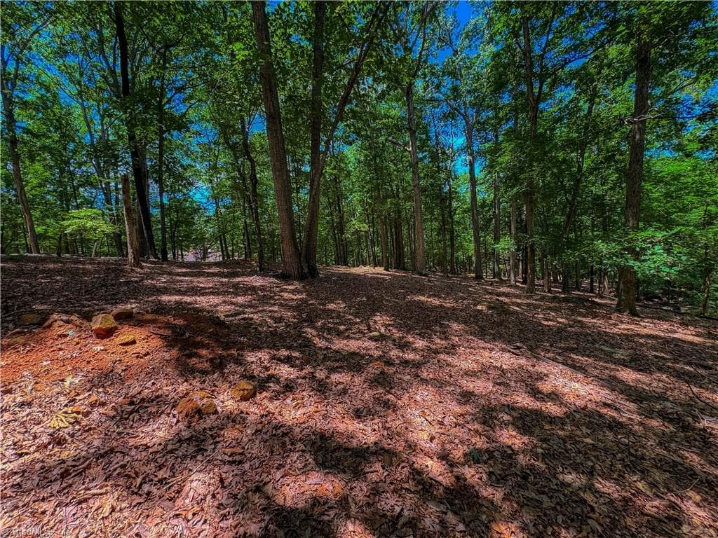 Single Family Residence at 1560 Rocky Cove Lane, Denton NC 27239, photo 6 of 32
