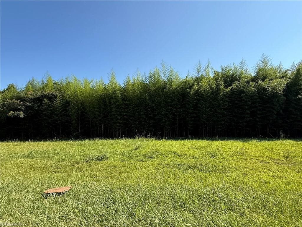 00 US Highway 311, Sophia NC 27350