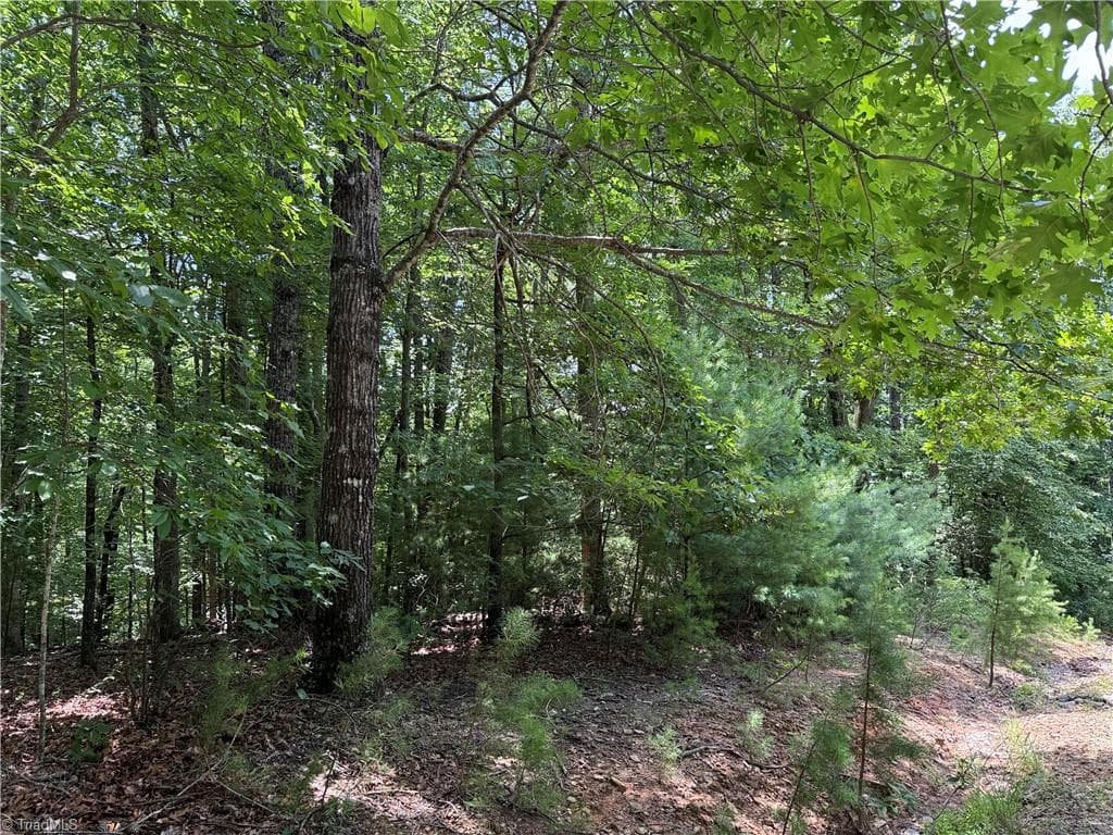 Single Family Residence at Lot 139 Pine Burr Drive, Purlear NC 28665, photo 13 of 34