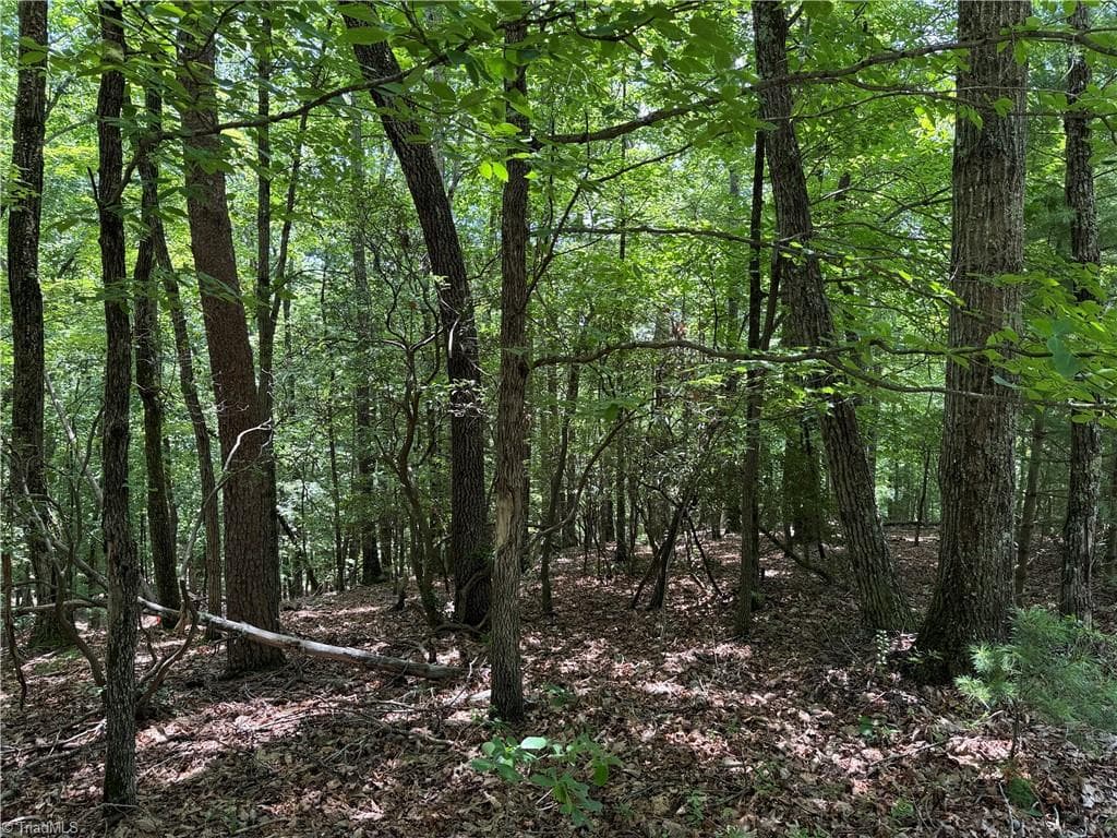 Single Family Residence at Lot 139 Pine Burr Drive, Purlear NC 28665, photo 12 of 34