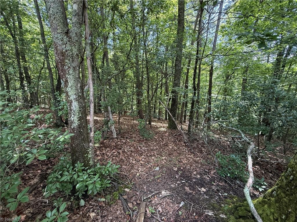 Single Family Residence at Lot 139 Pine Burr Drive, Purlear NC 28665, photo 7 of 34