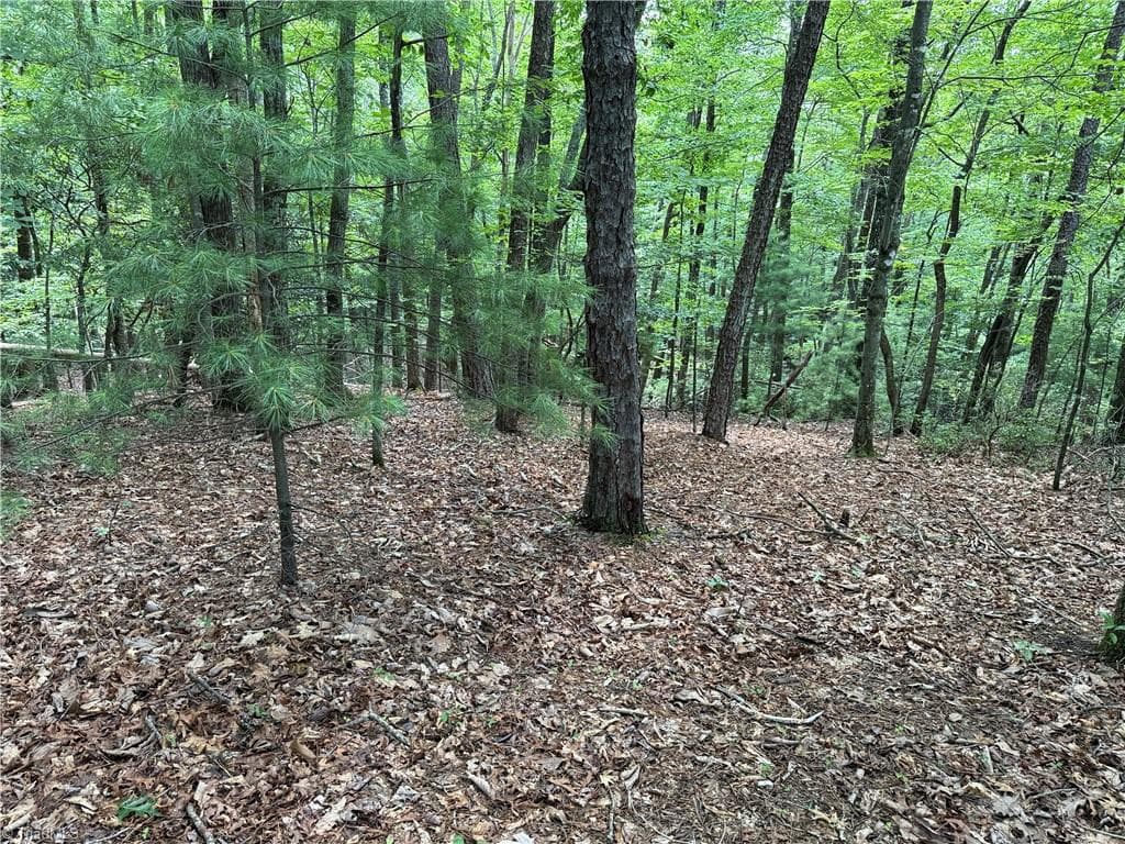 Single Family Residence at Lot 139 Pine Burr Drive, Purlear NC 28665, photo 5 of 34