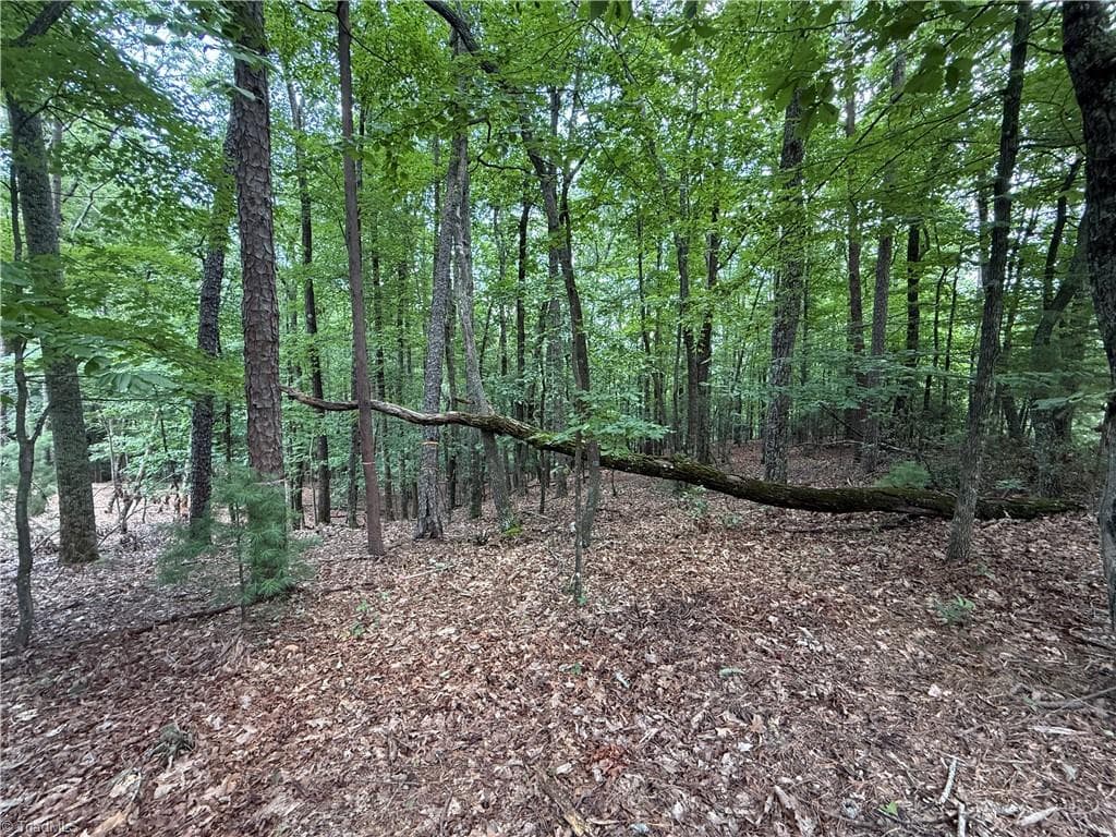 Single Family Residence at Lot 139 Pine Burr Drive, Purlear NC 28665, photo 10 of 34