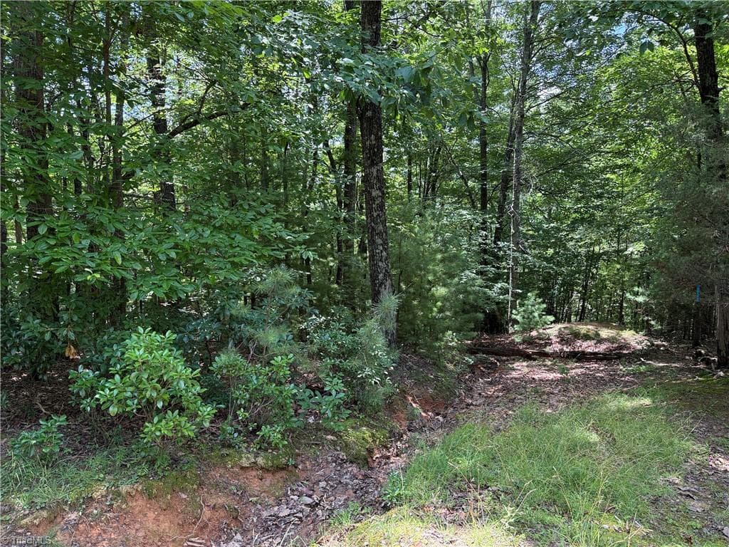 Single Family Residence at Lot 139 Pine Burr Drive, Purlear NC 28665, photo 14 of 34