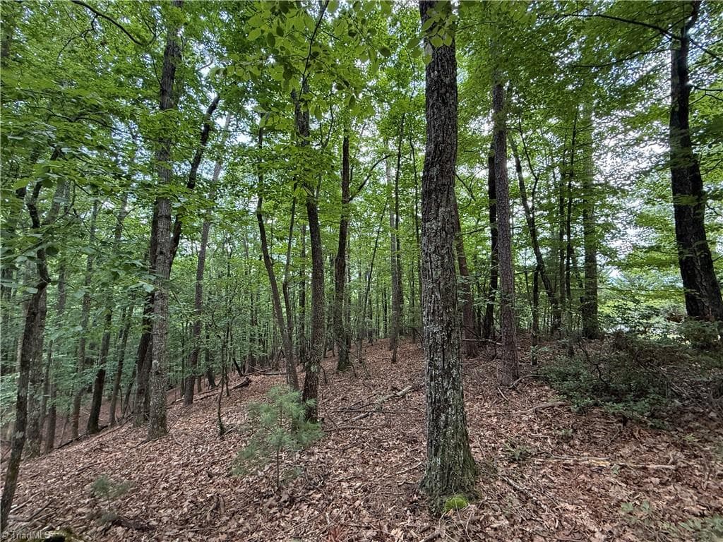 Single Family Residence at Lot 139 Pine Burr Drive, Purlear NC 28665, photo 11 of 34