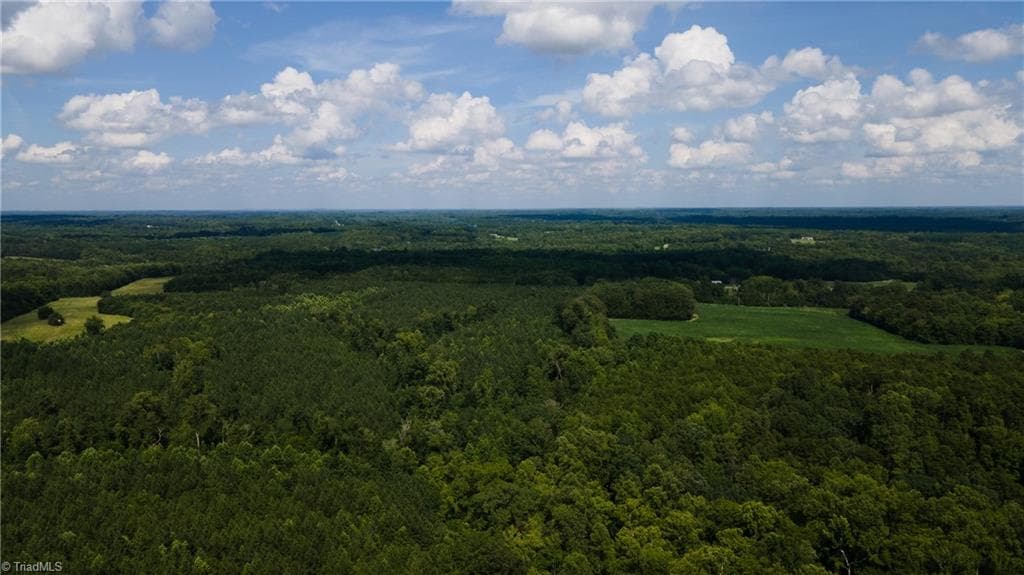 Agriculture at 0 Rascoe Road, Burlington NC 27217, photo 13 of 35