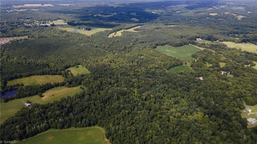 Agriculture at 0 Rascoe Road, Burlington NC 27217, photo 11 of 35