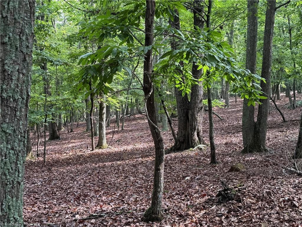 Unimproved Land at 1695 Sierra Trace Road, Denton NC 27239, photo 2 of 12