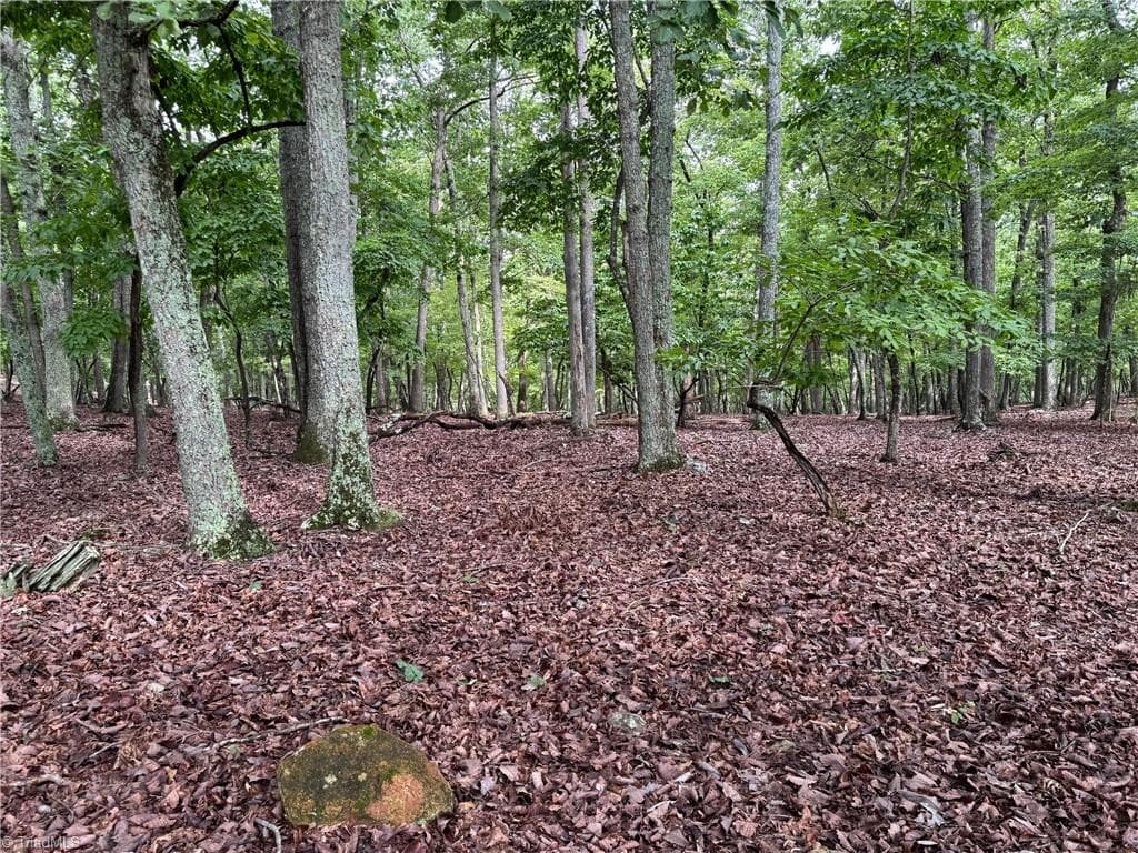 Unimproved Land at 1695 Sierra Trace Road, Denton NC 27239, photo 3 of 12