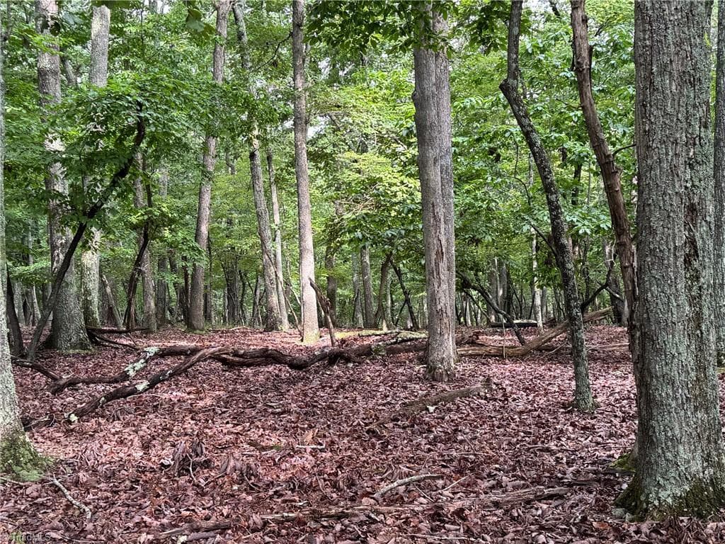 1695 Sierra Trace Road, Denton NC 27239
