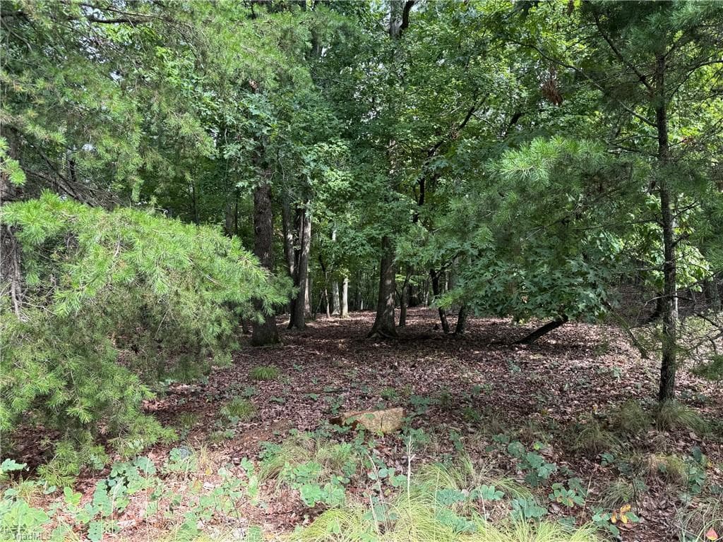 Unimproved Land at 1695 Sierra Trace Road, Denton NC 27239, photo 5 of 12