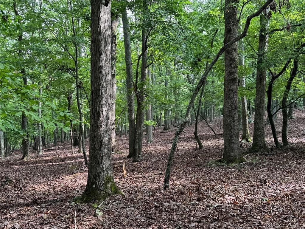 Unimproved Land at 1695 Sierra Trace Road, Denton NC 27239, photo 4 of 12