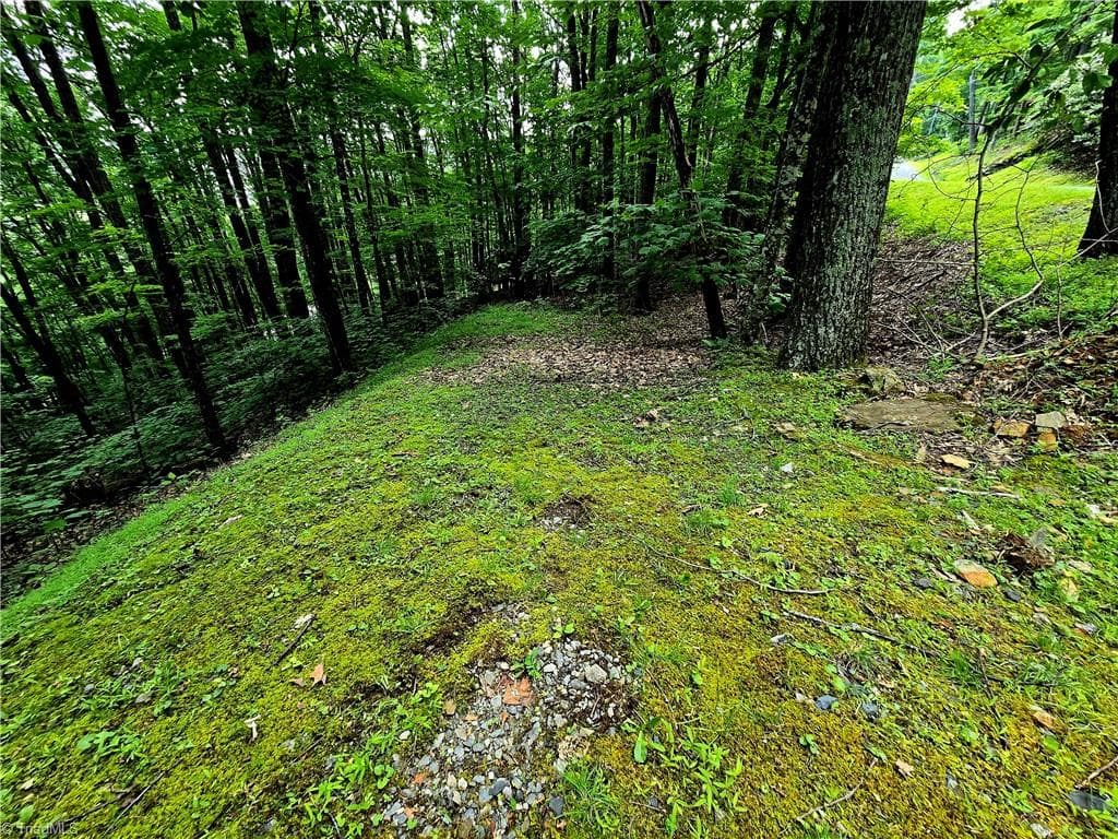 Unimproved Land at TBD Red Fox Trail, Boone NC 28607, photo 2 of 16