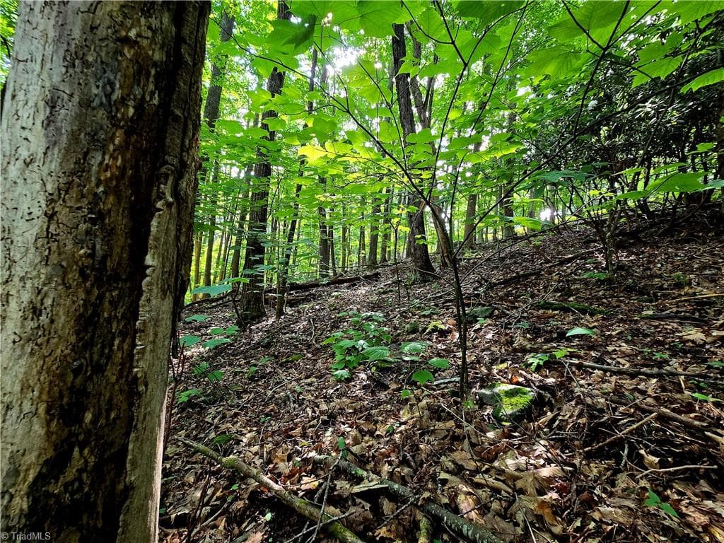 Unimproved Land at TBD Red Fox Trail, Boone NC 28607, photo 6 of 16