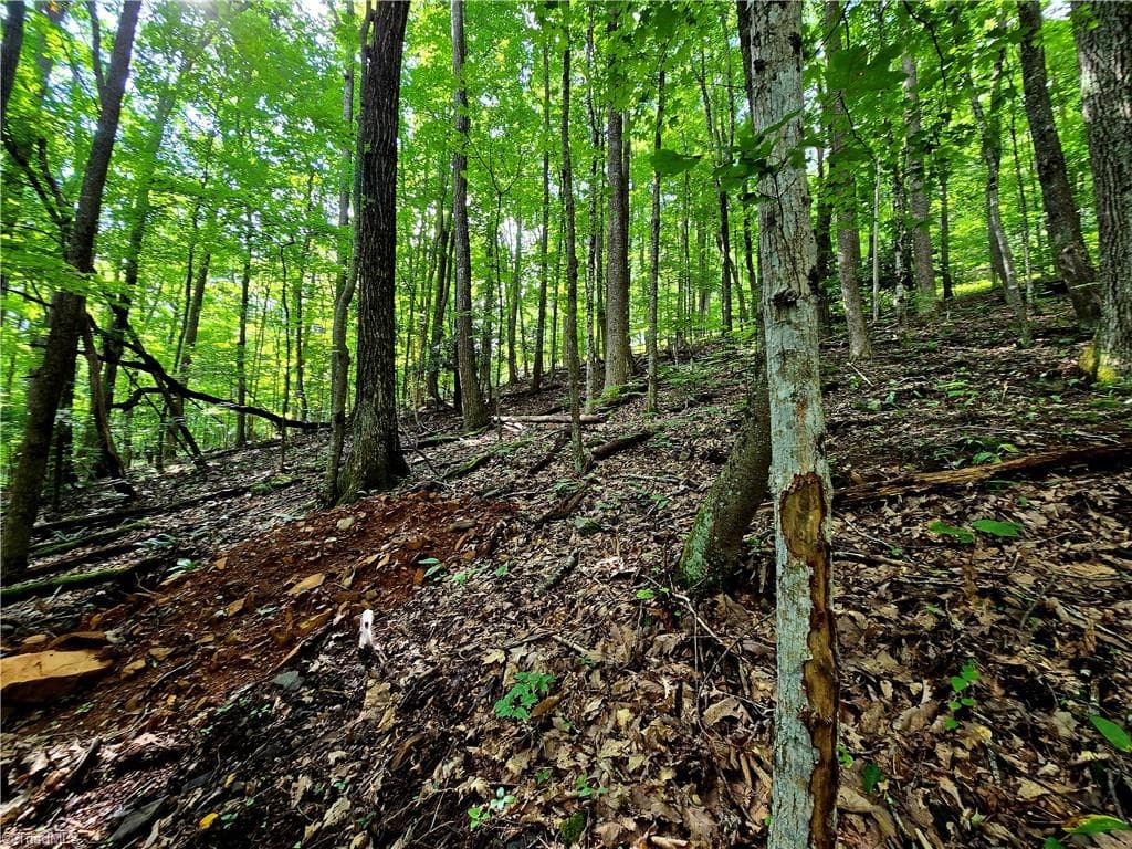 Unimproved Land at TBD Red Fox Trail, Boone NC 28607, photo 13 of 16