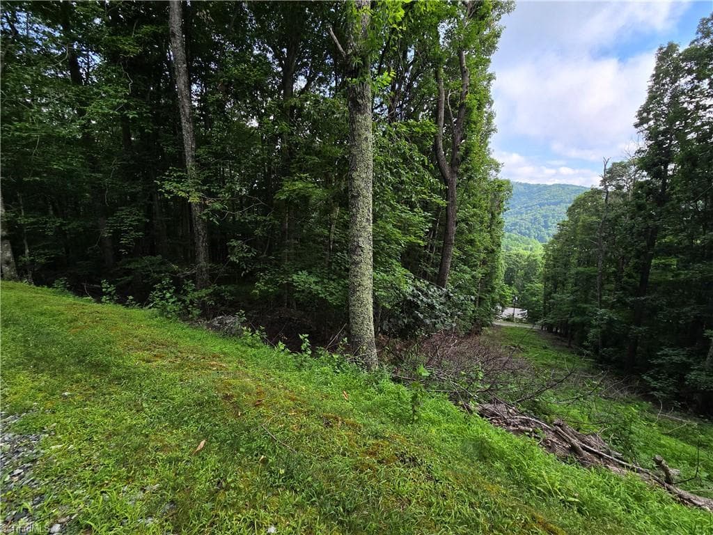 Unimproved Land at TBD Red Fox Trail, Boone NC 28607, photo 16 of 16