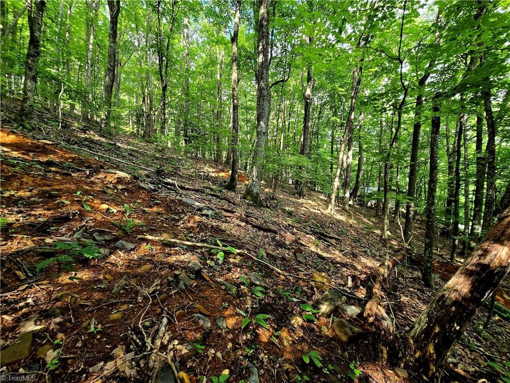 Unimproved Land at TBD Red Fox Trail, Boone NC 28607, photo 12 of 16