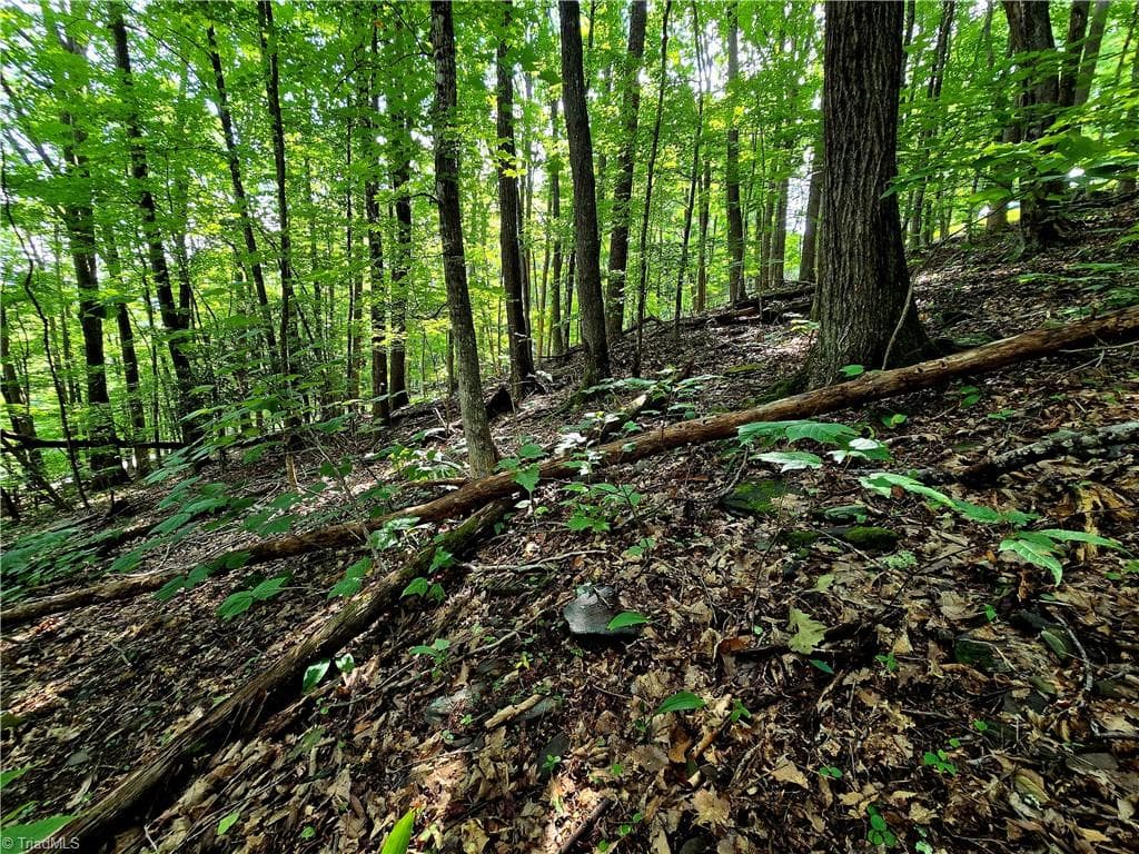 Unimproved Land at TBD Red Fox Trail, Boone NC 28607, photo 7 of 16