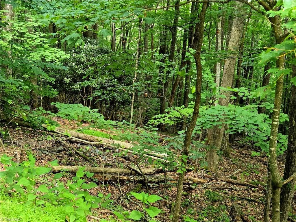 Unimproved Land at TBD Red Fox Trail, Boone NC 28607, photo 3 of 16