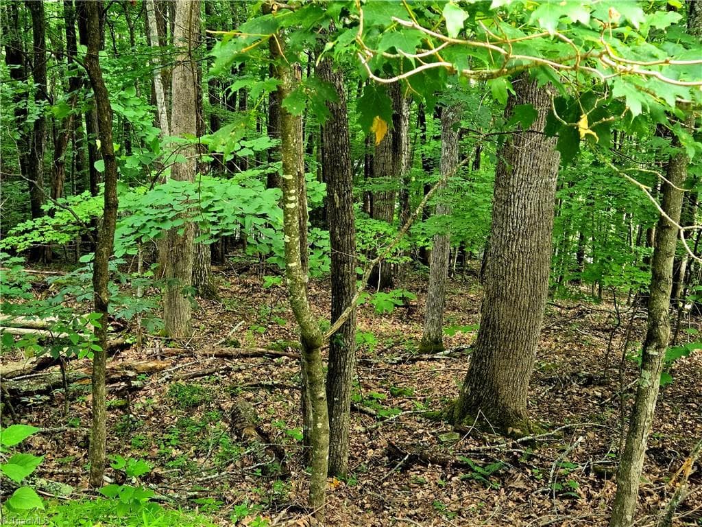 TBD Red Fox Trail, Boone NC 28607