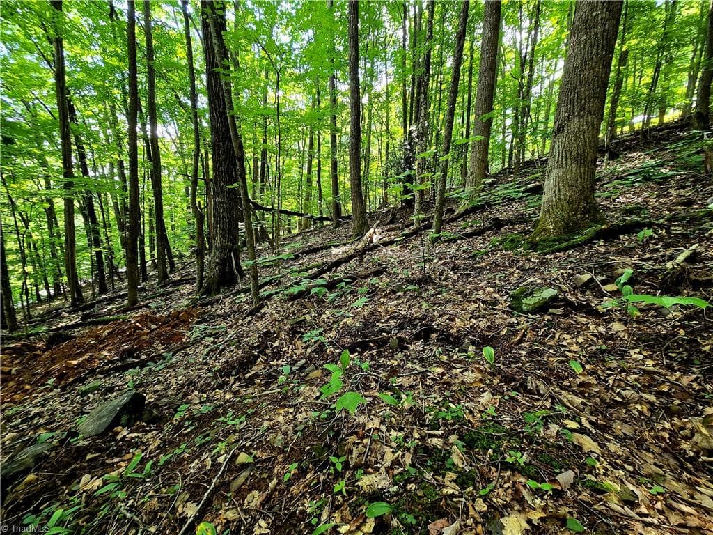 Unimproved Land at TBD Red Fox Trail, Boone NC 28607, photo 9 of 16