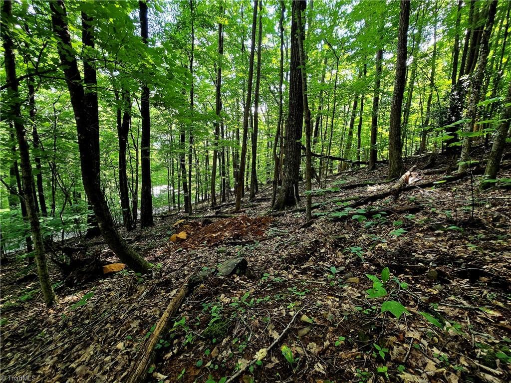 Unimproved Land at TBD Red Fox Trail, Boone NC 28607, photo 10 of 16