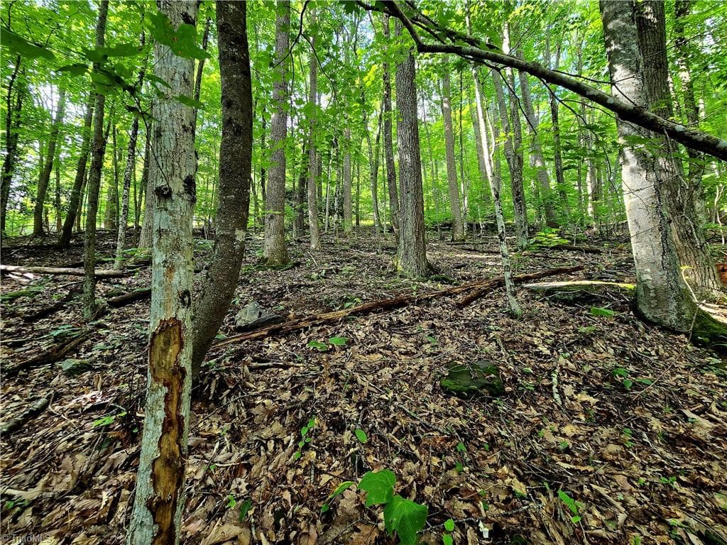 Unimproved Land at TBD Red Fox Trail, Boone NC 28607, photo 14 of 16