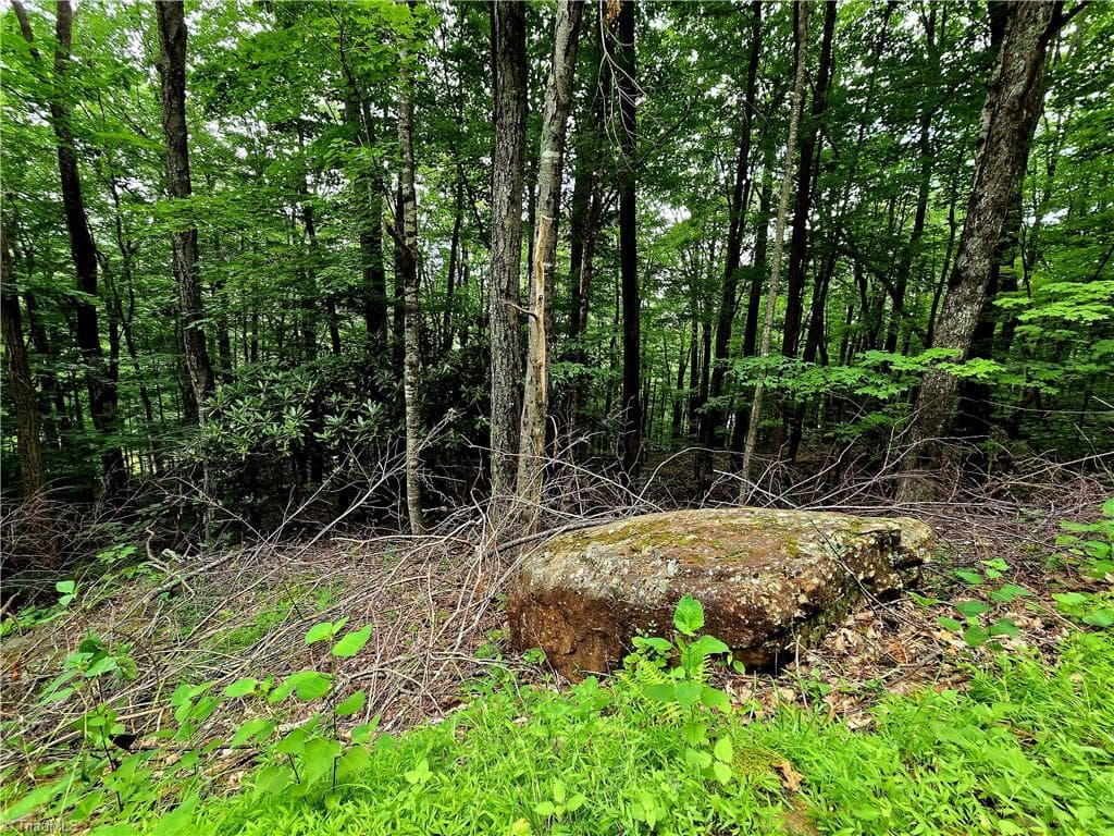 Unimproved Land at TBD Red Fox Trail, Boone NC 28607, photo 15 of 16