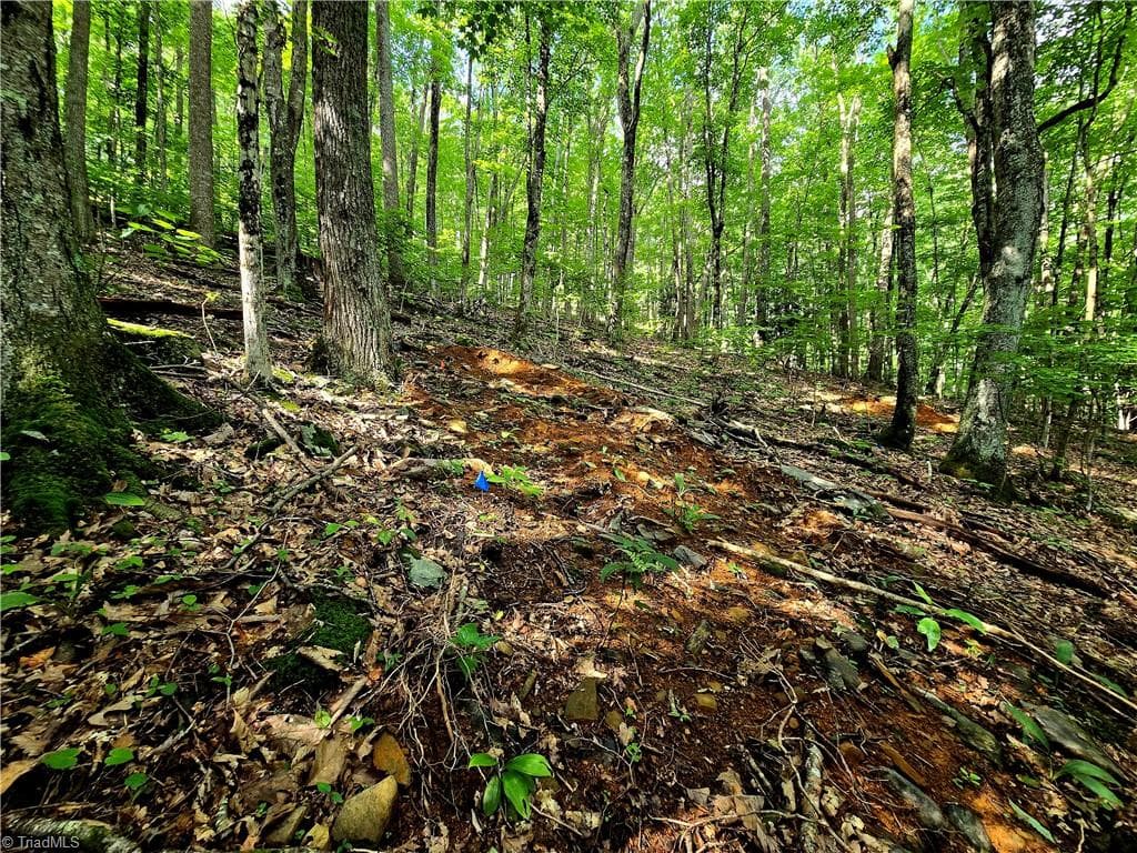 Unimproved Land at TBD Red Fox Trail, Boone NC 28607, photo 11 of 16