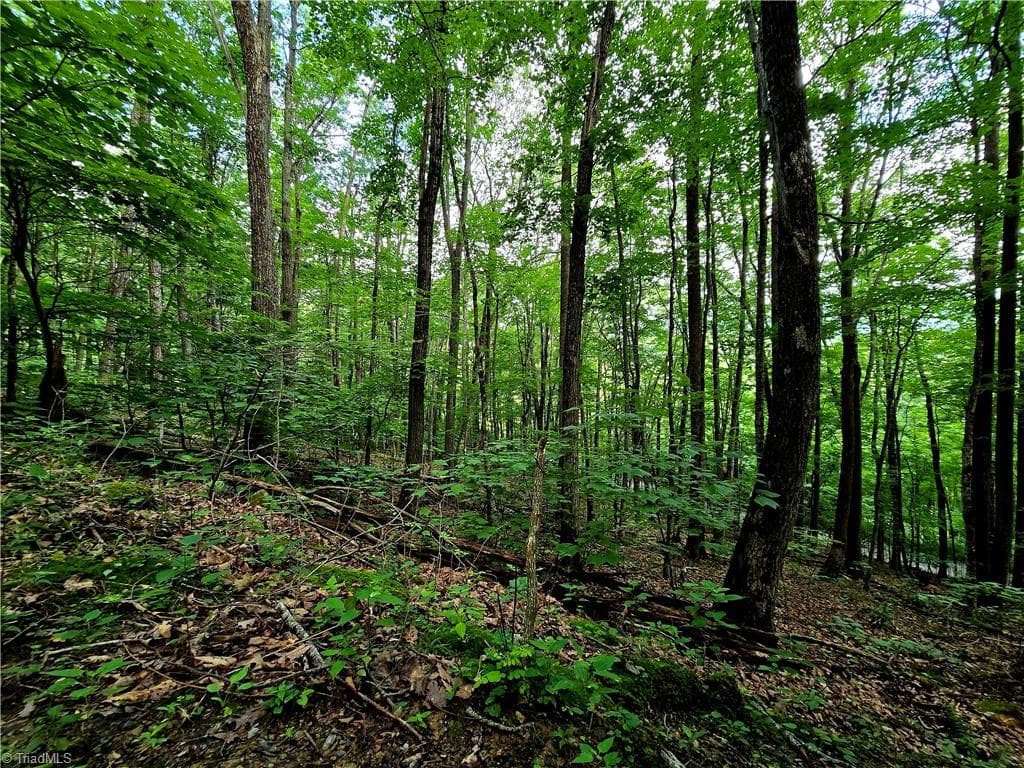Unimproved Land at TBD Red Fox Trail, Boone NC 28607, photo 4 of 16