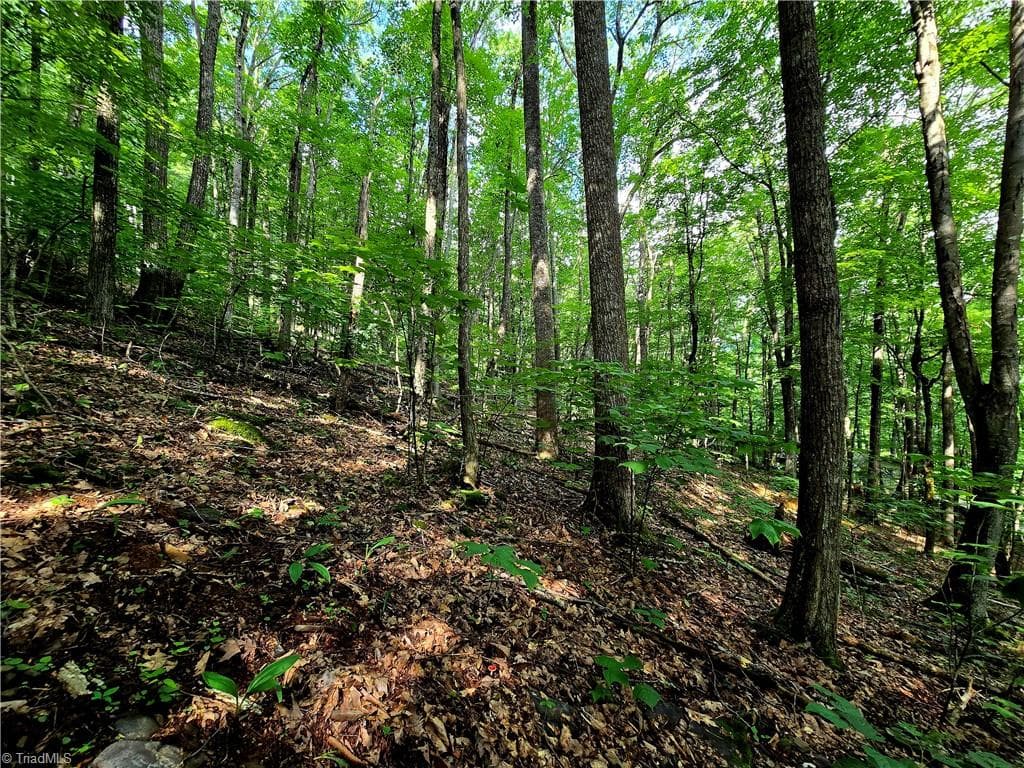 Unimproved Land at TBD Red Fox Trail, Boone NC 28607, photo 8 of 16