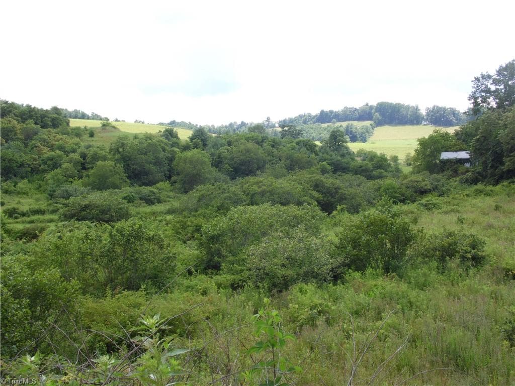Unimproved Land at TBD Glendale Court, Laurel Springs NC 28644, photo 17 of 19