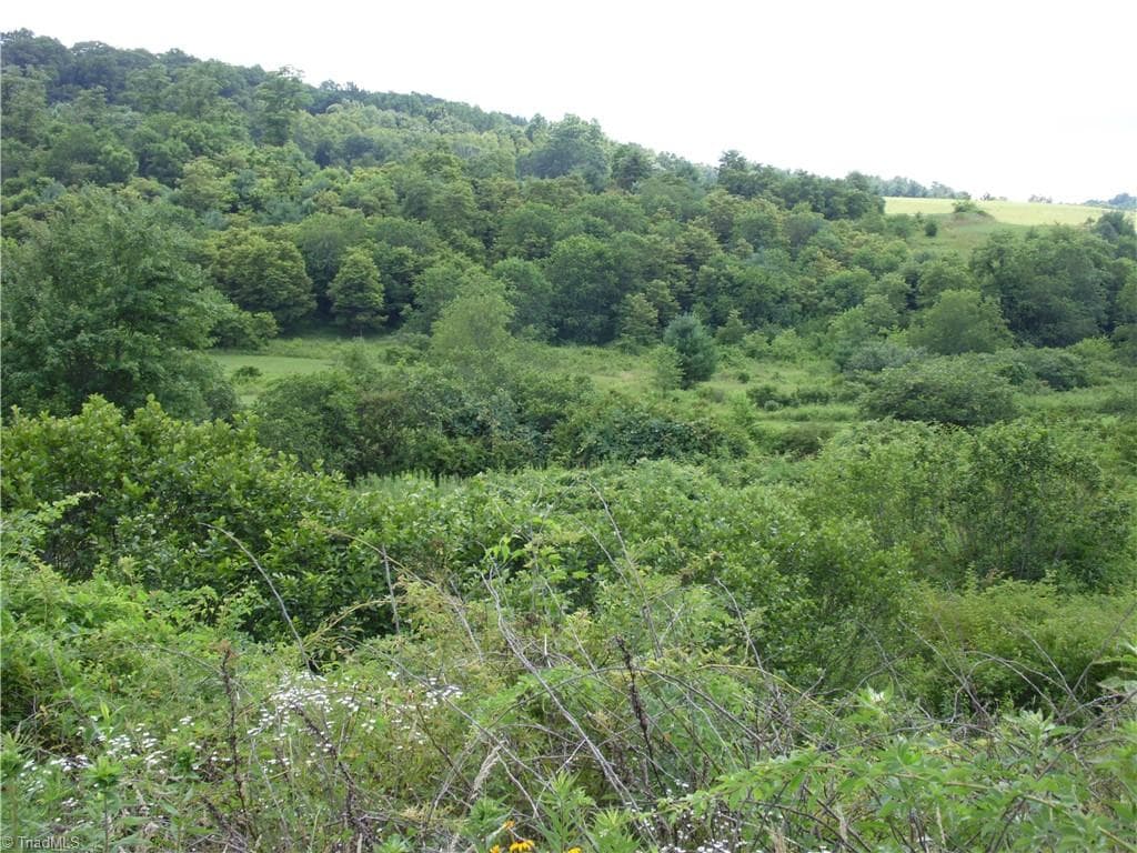 Unimproved Land at TBD Glendale Court, Laurel Springs NC 28644, photo 16 of 19