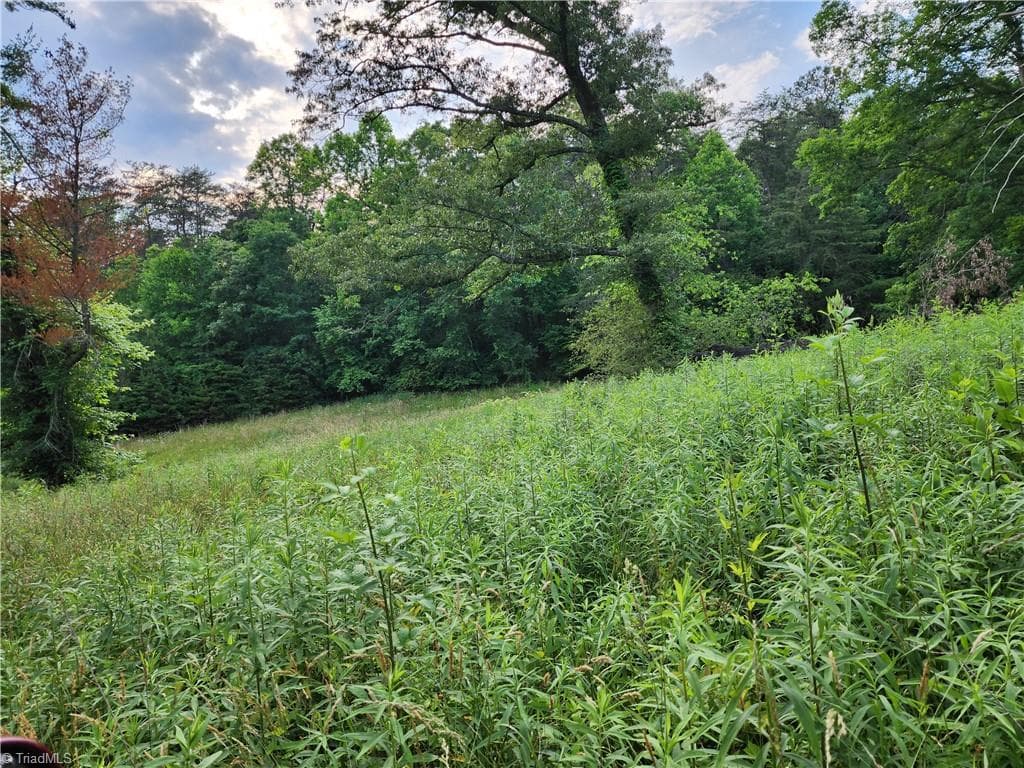 Unimproved Land at 000 W US Highway 421, Wilkesboro NC 28697, photo 13 of 21