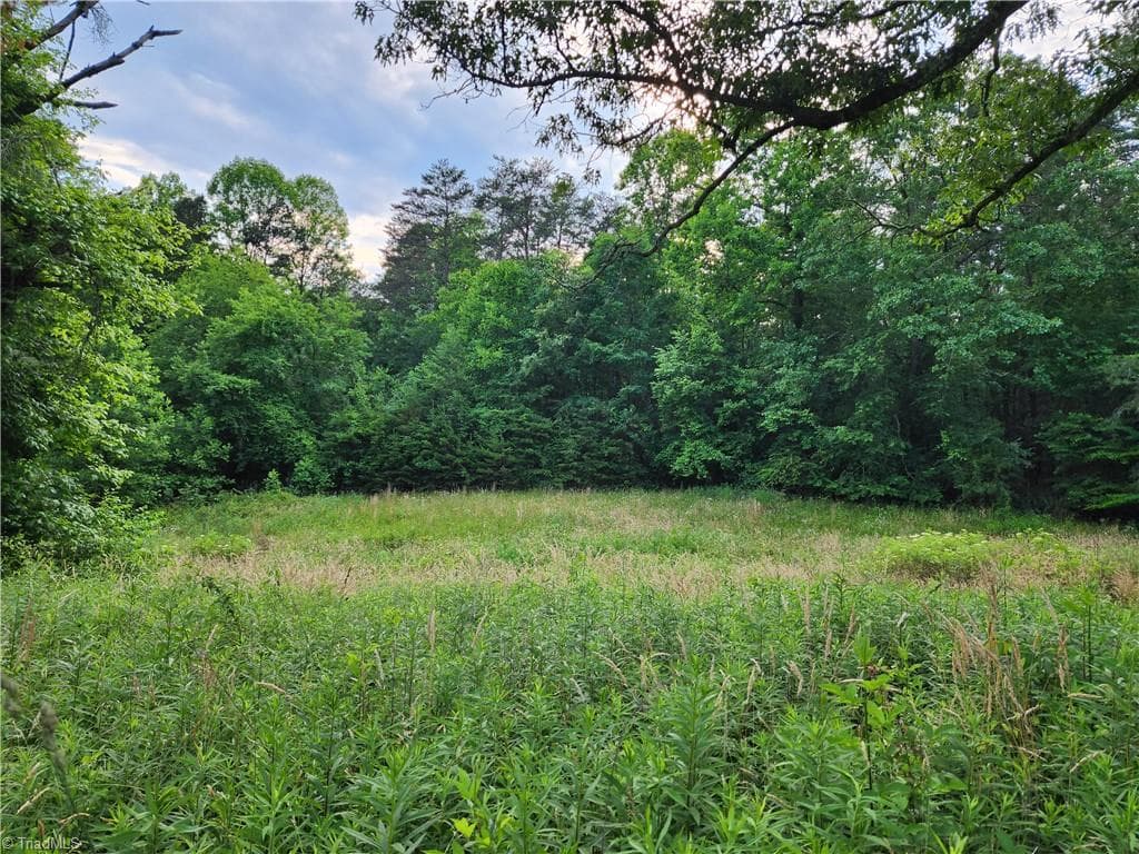 Unimproved Land at 000 W US Highway 421, Wilkesboro NC 28697, photo 17 of 21