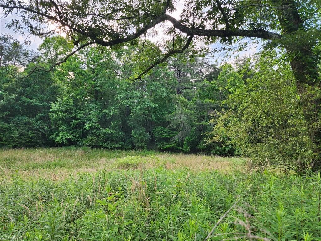 Unimproved Land at 000 W US Highway 421, Wilkesboro NC 28697, photo 16 of 21