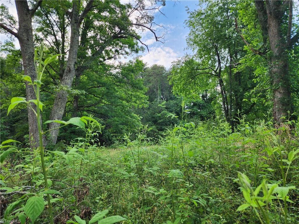 Unimproved Land at 000 W US Highway 421, Wilkesboro NC 28697, photo 12 of 21