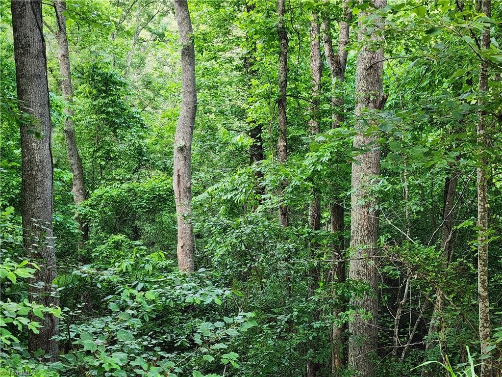 Unimproved Land at 000 W US Highway 421, Wilkesboro NC 28697, photo 20 of 21